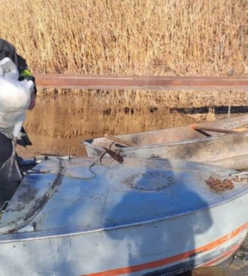 На Одещині працівники ДСНС врятували лебедя, що вмерз в кригу на ставку