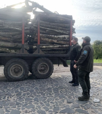 На Волині виявили незаконні порубки дерев