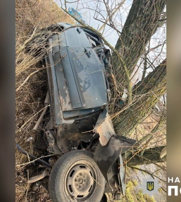 На Полтавщині молодий хлопець вилетів на авто у кювет та зіткнувся з деревом: є жертви