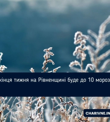 Дощ і мокрий сніг: якою буде погода на Волині 2 січня