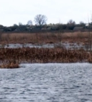 На Волині очікують підйом рівня води у річці Прип&#039;ять