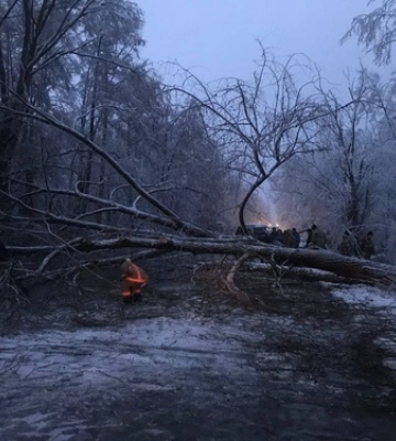 На Ковельщині негода повалила на дорогу дерева 