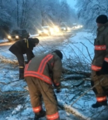 У Старовижівській громаді негода повалила на дорогу дерева