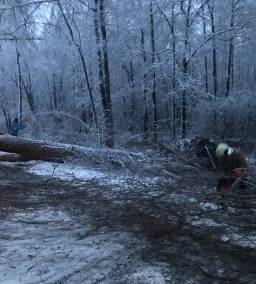 На Ковельщині негода повалила на дорогу дерева 
