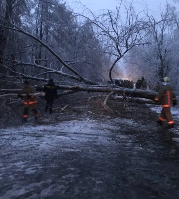На Ковельщині негода повалила на дорогу дерева 
