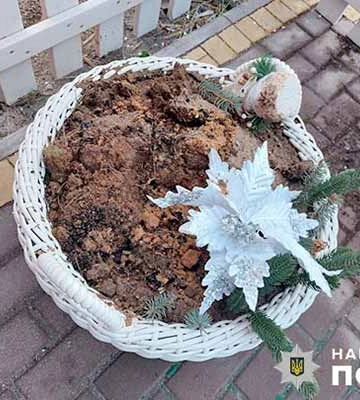У Полтаві чоловік вирвав «ялинку» з вазона, що прикрашала подвір’я закладу харчування