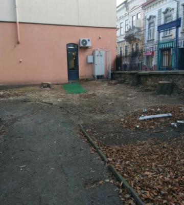 Екозахисники обурені вирубкою здорових дерев у сквері по вулиці Руській у Чернівцях