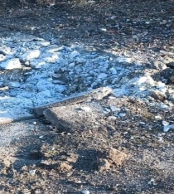 На Запорізькому напрямку прикордонники знищили сім ворожих дронів