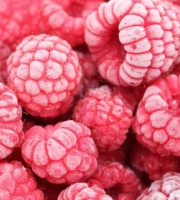 Україна збільшила експорт замороженої малини до Швейцарії на 86% - EastFruit