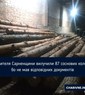 У жителя Рівненщини виявили близько 90 колод деревини без документів