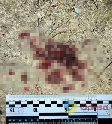 Житель Одеської області мало не зарізав п’яного свата, який приїхав його втихомирити