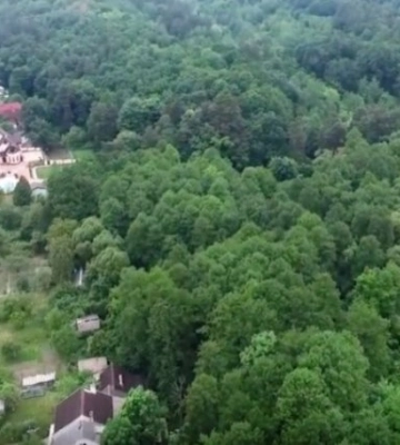 Селищна рада незаконно розпорядилася землею державної власності під Львовом