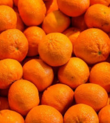 Сьогодні у двох районах Києва проходитимуть продуктові ярмарки (адреси)