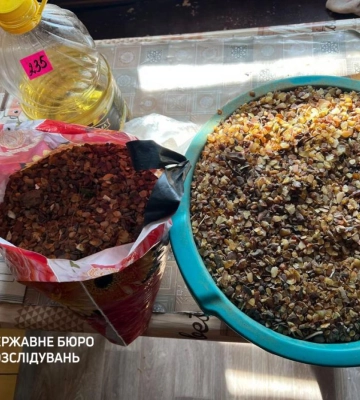 Судитимуть членів угруповання з Рівненщини, які займалися незаконним продажем бурштину