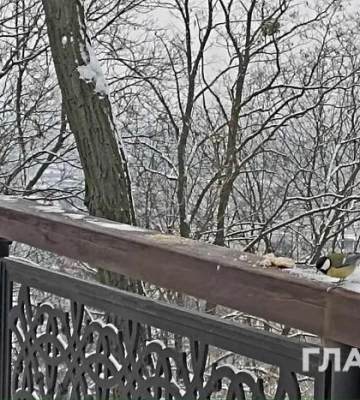 Очікуються морози до 22 градусів: на вихідних погода в Україні різко зміниться