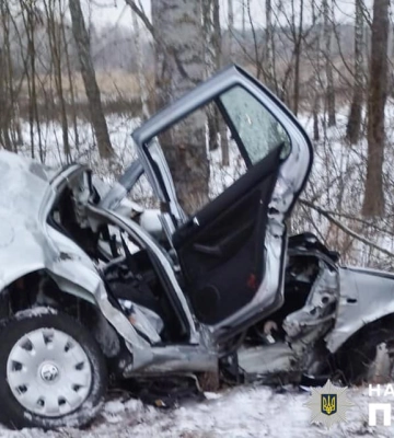 На Житомирщині через дії п’яного водія у ДТП загинув його пасажир (ФОТО)