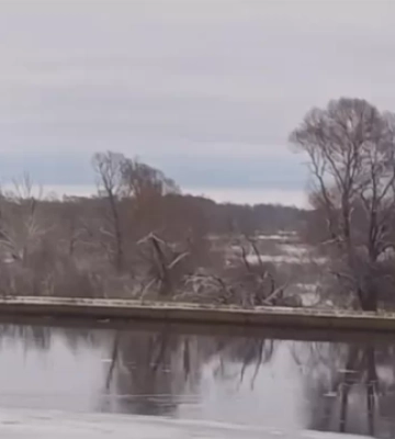 В Україну по Десні приплив понтонний міст росіян (ВІДЕО)