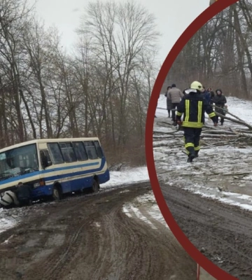 На Прикарпатті через негоду з дороги з’їхав рейсовий автобус