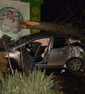 На Миколаївщині автомобіль спочатку збив дерево, а потім дівчину