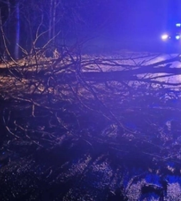 На Ковельщині серед дороги впало дерево і заблокувало рух: працювали рятувальники