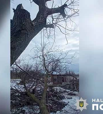 На Полтавщині чоловік впав з дерева й помер