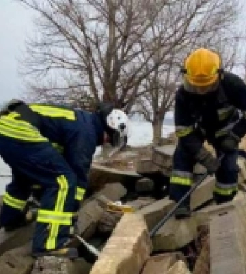 У Рені Ізмаїльського району рятували козу