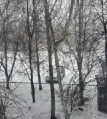 У Березівському районі через негоду у 80 населених пунктах відсутня електрика