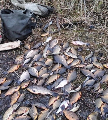 На Миргородщині вручили підозру браконьєру, який ловив червонокнижну рибу