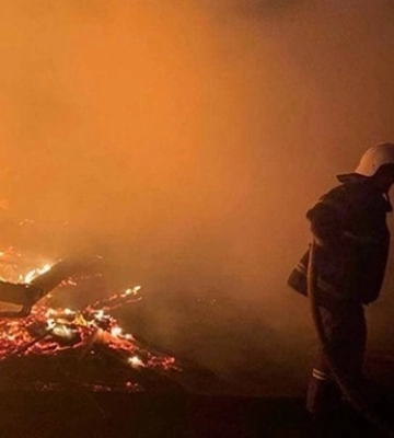 В Украине с начала года в пожарах погибли 48 человек