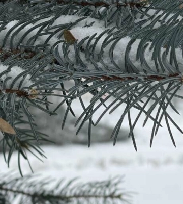 На Полтавщині буде мінливо хмарно та без опадів