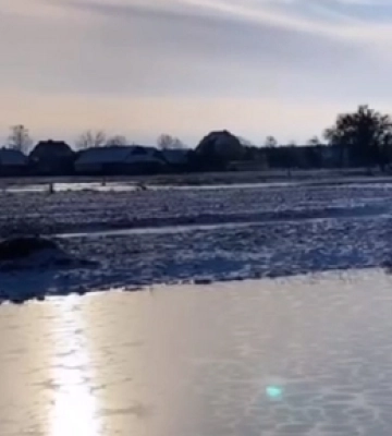 У селі на Волині водойма вкрилася незвичними малюнками