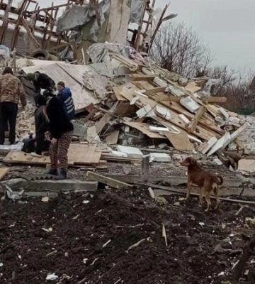 Врятувала прогулянка з собаками: у Дніпрі уламки ракети знищили будинок зооволонтерки