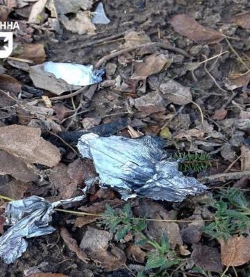 На Запорізькому напрямку прикордонники ліквідували десяток дронів-камікадзе