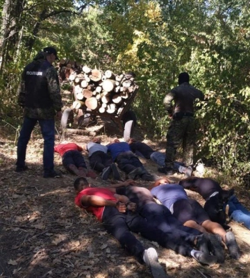 Порубки деревини у заповідній зоні: на Одещині судитимуть злочинну групу «чорних» лісорубів