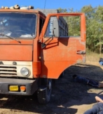 На Одещині судитимуть групу людей, які незаконно рубали ліс у заповідній зоні — поліція