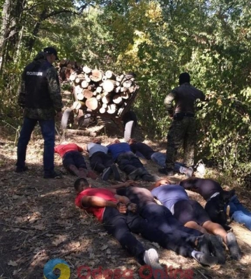 На Одещині судитимуть групу людей, які незаконно рубали ліс у заповідній зоні — поліція