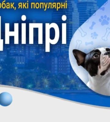 Які породи собак популярні у Дніпрі