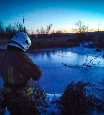 На Одещині врятували величезного білого птаха