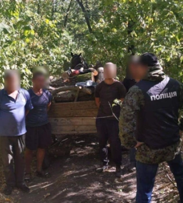 Вырубка деревьев в заповедной почти на 2 млн грн: в Одесской области будут судить восьмерых злоумышленников