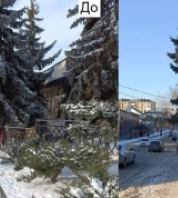 У Рівному приписом змусили обрізати гілля, що заважало руху