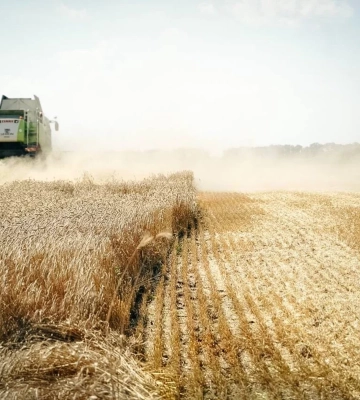 Торік аграрії Полтавщини експортували продукції на понад півмільйона доларів