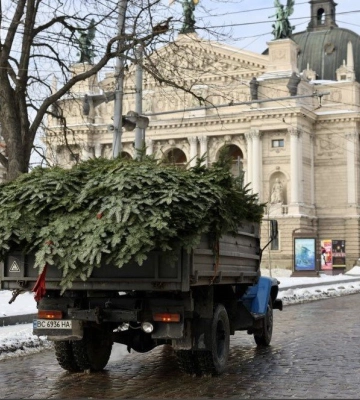 У Львові розібрали головну ялинку міста, - ВІДЕО