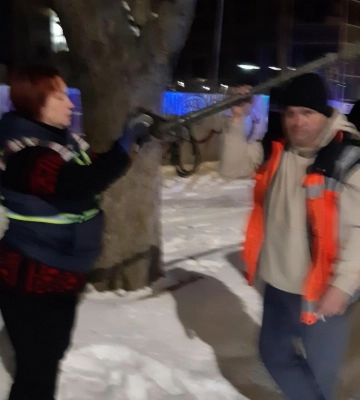 Не зупинилася, аби допомогти пасажиру: у Луцьку водійка тролейбуса № 15 потрапила у скандал