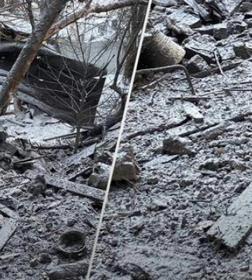 Навсегда сомкнул глаза возле хозяйственного дома: в Чернигове во время обстрела погибла собака
