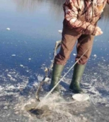 На Волині визволили птаха, який заплутався в рибальські сітки