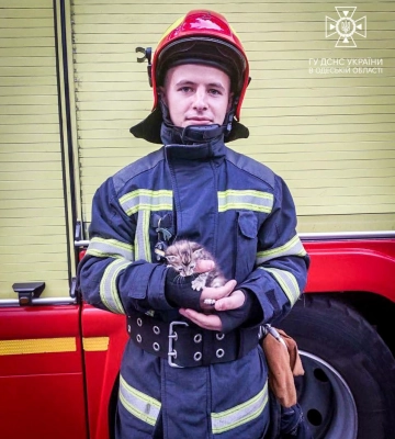 В Одесі співробітники ДСНС врятували кошеня, - ФОТО