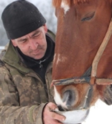 Поліцейські врятували 28 породистих коней у Харківській області