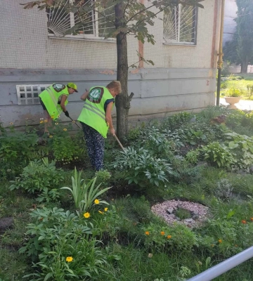 Сколько деревьев высадили во дворах Харькова: итоги 2023-го от коммунальщиков