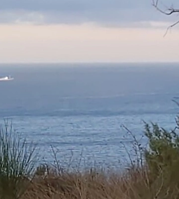 РФ вывела в Черное море группу военных кораблей