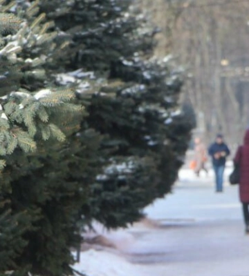 У Полтаві очікуються сніг, великі пориви вітру та ожеледиця на дорогах